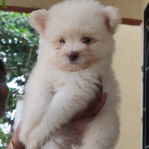 Create Ecommerce store In Simple 4 Steps