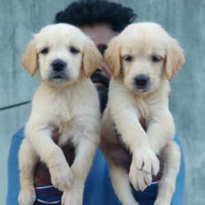 Create Ecommerce store In Simple 4 Steps