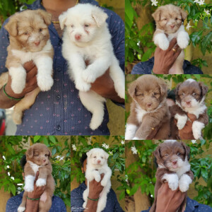 Create Ecommerce store In Simple 4 Steps